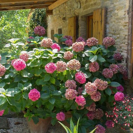 مبيت وإفطار Casa La Valle, Gubbio, Frazione Santa Cristina المظهر الخارجي الصورة