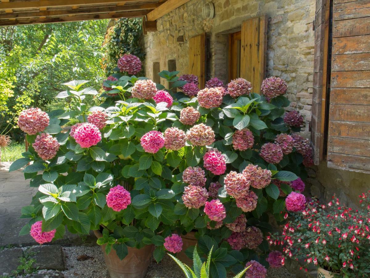مبيت وإفطار Casa La Valle, Gubbio, Frazione Santa Cristina المظهر الخارجي الصورة
